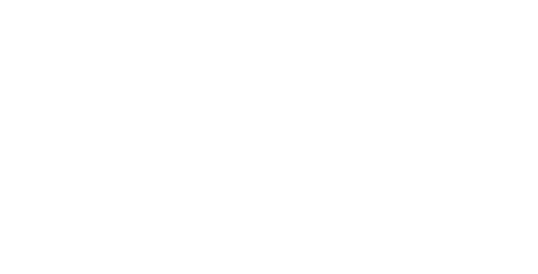 TheFlybook.png